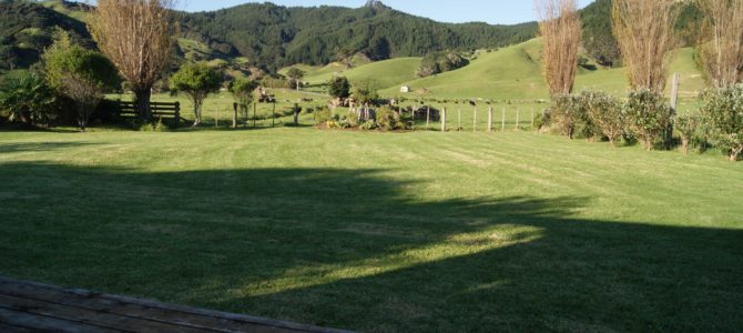 Enjoy the rural view from the back deck. Enjoy the rural view from the back deck.